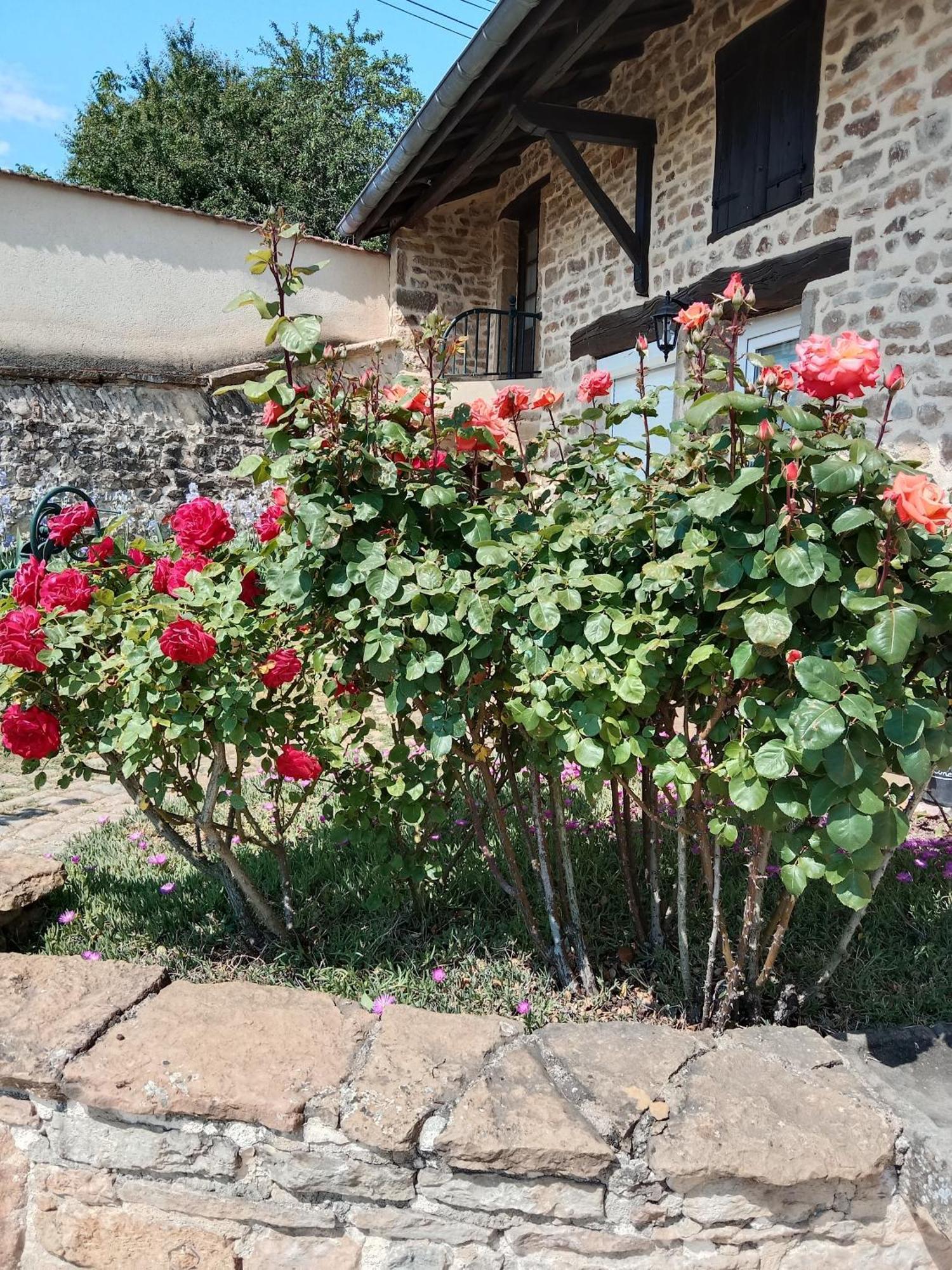 L Olivier De St Leger Bed & Breakfast Chateau  Exterior photo